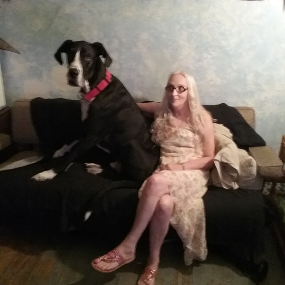 Meet your Posher, La veta - Picture 1 of 7